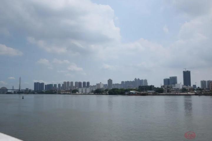 | 海珠涌大桥一旁的江景。