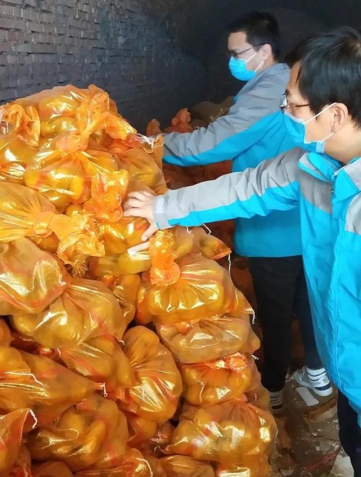东乡扶贫项目人员进行马铃薯产品清点