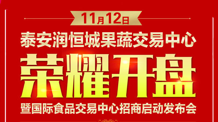 泰安润恒城11月12日荣耀开盘
