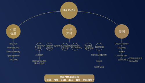 赛诺的全球自主品牌分布
