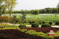 好消息!石景山又要新建一波休闲公园和城市森林 快看都在哪