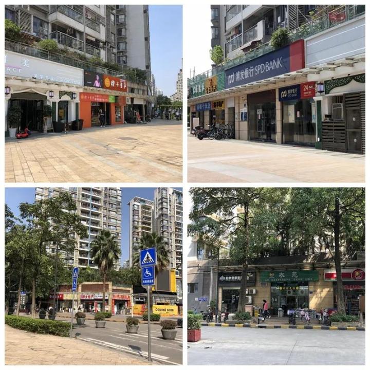 华附+培英“王炸”学位！白云
