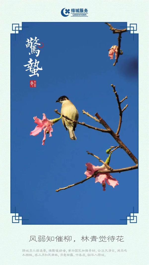 物业服务企业2019惊蛰海报大赏