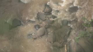 泰国大象死亡：官员试图检索机构