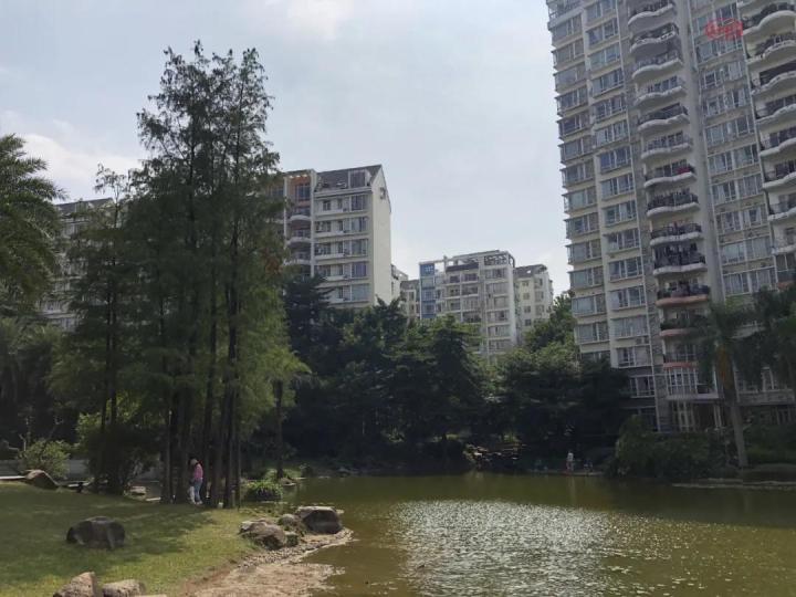华附+培英“王炸”学位！白云