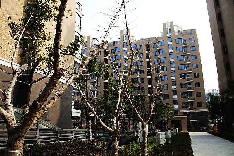 阅城国际花园 社区实景 项目实景