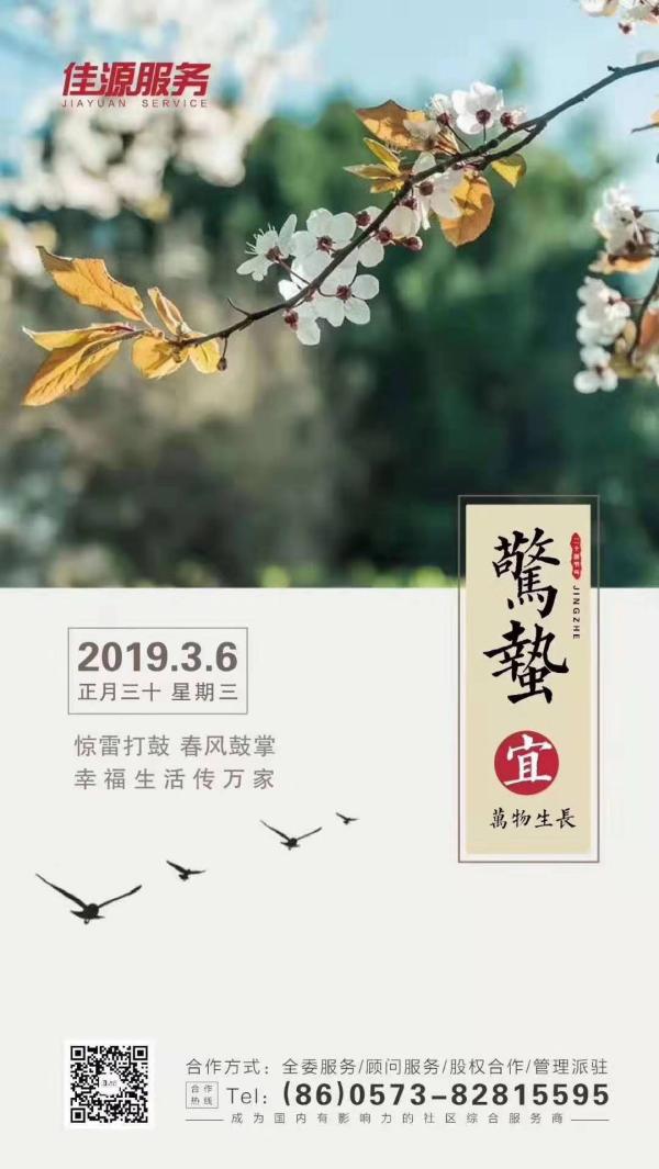 物业服务企业2019惊蛰海报大赏