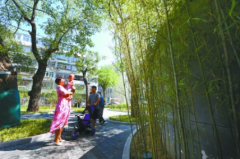 闲置拆迁地变口袋公园