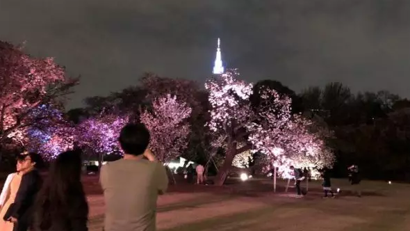 大唐为何禁止夜生活？从宵禁管