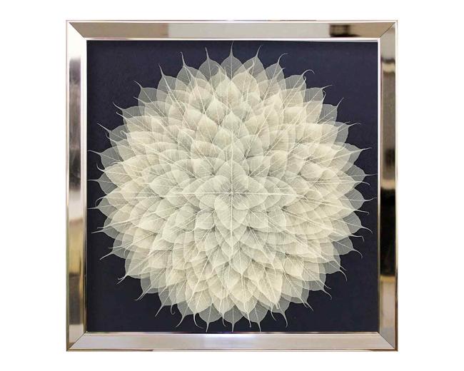 ▲菩提叶