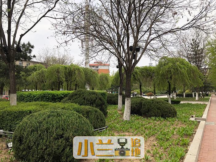 再见东北设计院大院 历经65年土地价值将重新定义 土地解析 沈阳乐居网 再见东北设计院大院 历经65年土地价值将重新定义 土地解析 沈阳乐居网