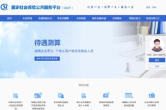 养老金可以测算了!国家社保公共服务平台试运行
