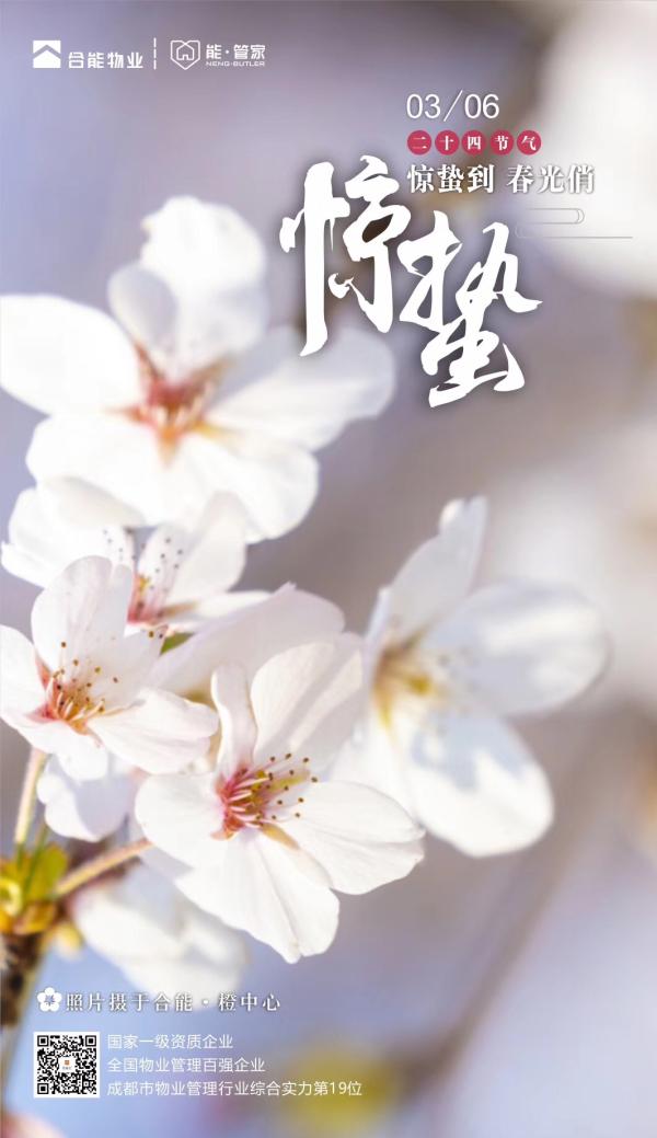 物业服务企业2019惊蛰海报大赏
