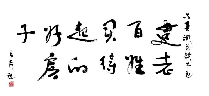建老百姓买得起的好房子（杨国强 题）
