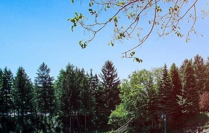 工程—2020年，孔雀城落子石家庄，赋新一座城