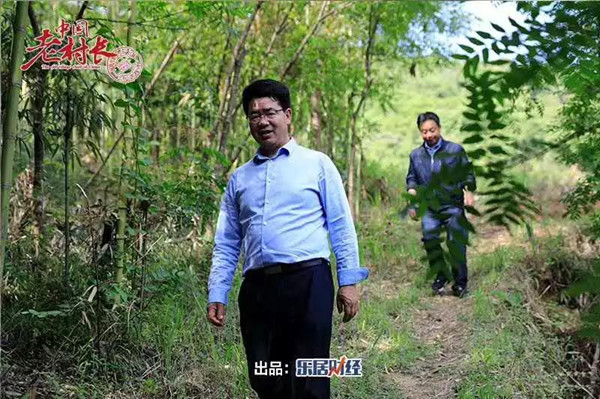 陈勇：甜蜜扶贫 | 中国老村长