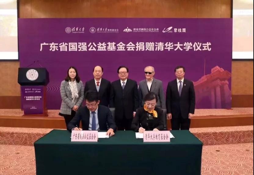 杨惠妍：新杨门女将