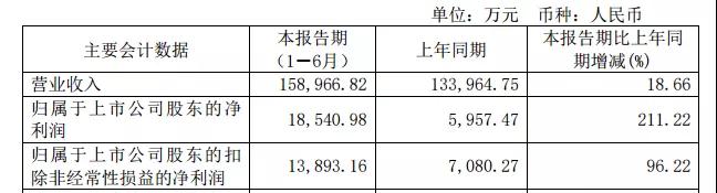 华远地产：借债维生｜半年报拆