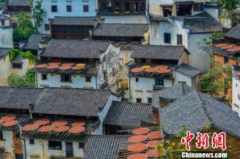 处暑都有啥习俗? 举办“开渔节” 出游迎秋