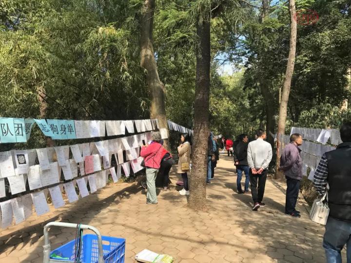 探访天河公园相亲角