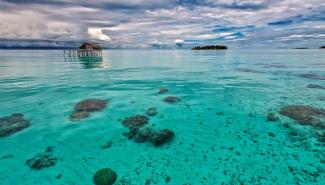 中国赴印尼游客人数飙升 港媒：重塑巴厘岛旅游业