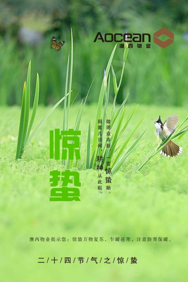 物业服务企业2019惊蛰海报大赏