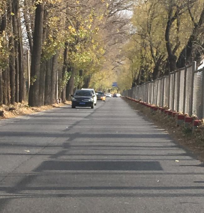均价53000元/平 这也许是入 均价53000元/平 这也许是入
