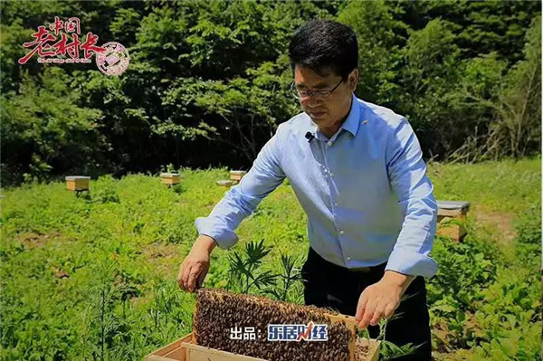 陈勇：甜蜜扶贫 | 中国老村长