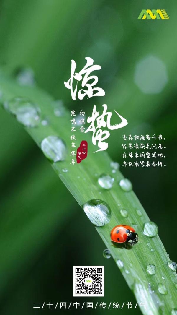 物业服务企业2019惊蛰海报大赏