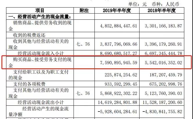华远地产：借债维生｜半年报拆