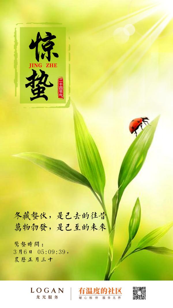 物业服务企业2019惊蛰海报大赏