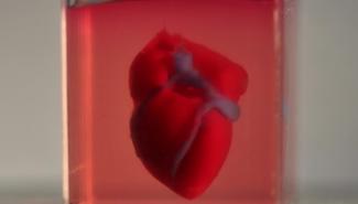 世界首例 3D打印完整心脏 含人体细胞与血管 