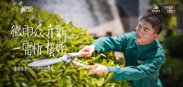 物业服务企业2019惊蛰海报大赏