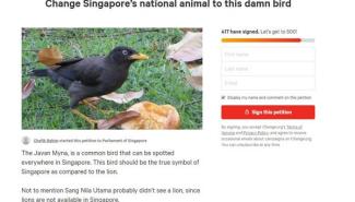 新加坡人发起网上联署 促政府把爪哇八哥列代表性动物！ 