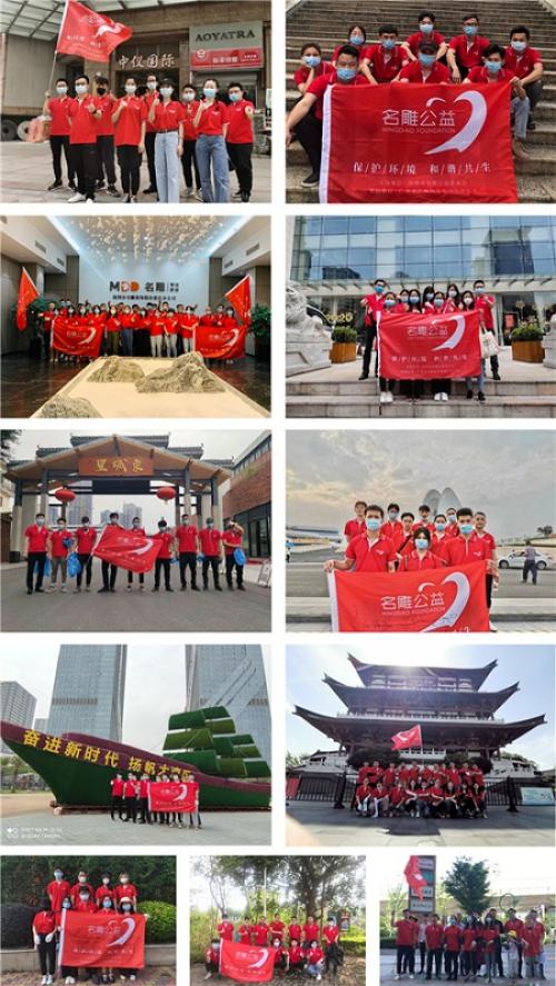 中珠江、惠州、长沙、重庆区域代表队伍
