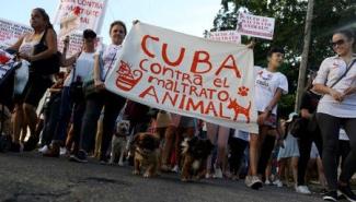 放行动物保护人士上街游行 古巴跨出一大步 