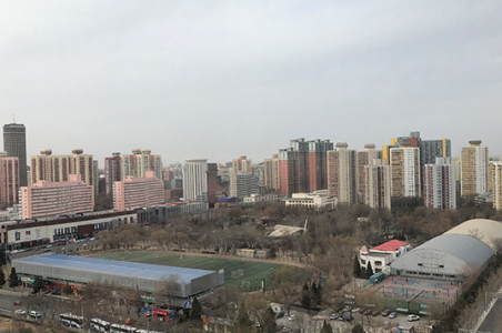 通报2019年耕地结果 全国违法违规占用耕地逾百万亩