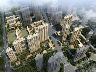 加州启城