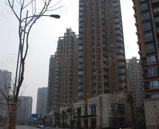 社区实景