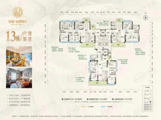 五华敏捷·金玥府13栋01/02/03户型户型图