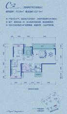 中国铁建江湾山语城C-2户型图