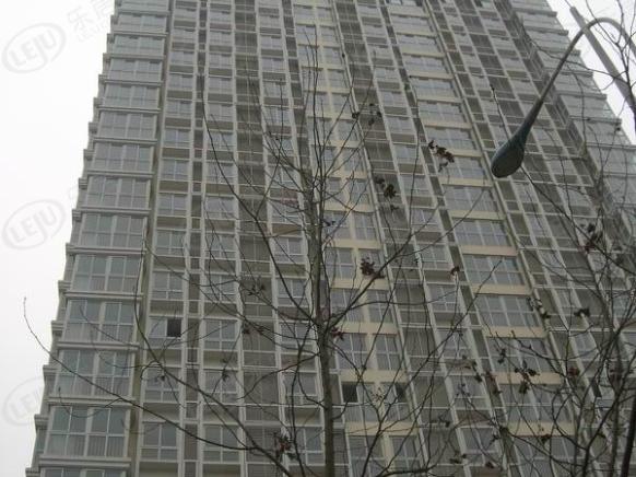 社区实景