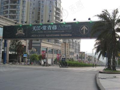 效果图
