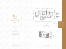 保利大国璟洋楼B-1户型户型图