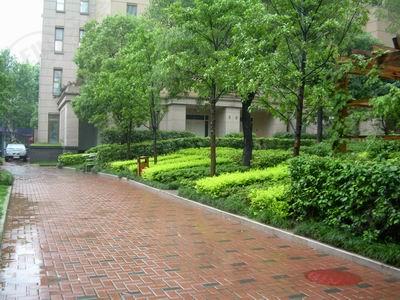 社区实景
