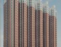 效果图
