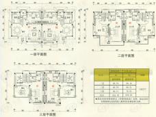 泰州碧桂园林湖郡5室2厅3卫户型图