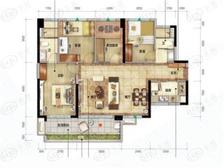 信业珀丽湾03户型户型图