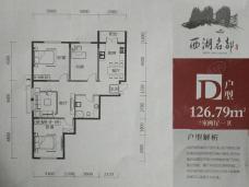 西湖名都D户型户型图