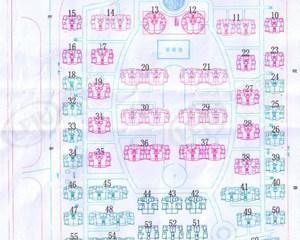 南国明珠